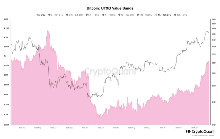 Bitcoin-UTXO-Value-Bands