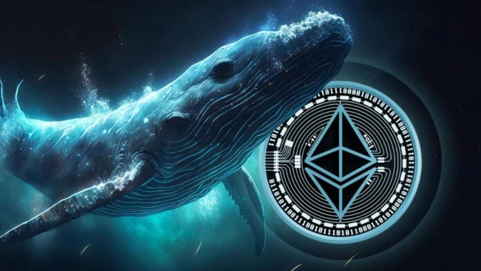 Ethereum Whales whale