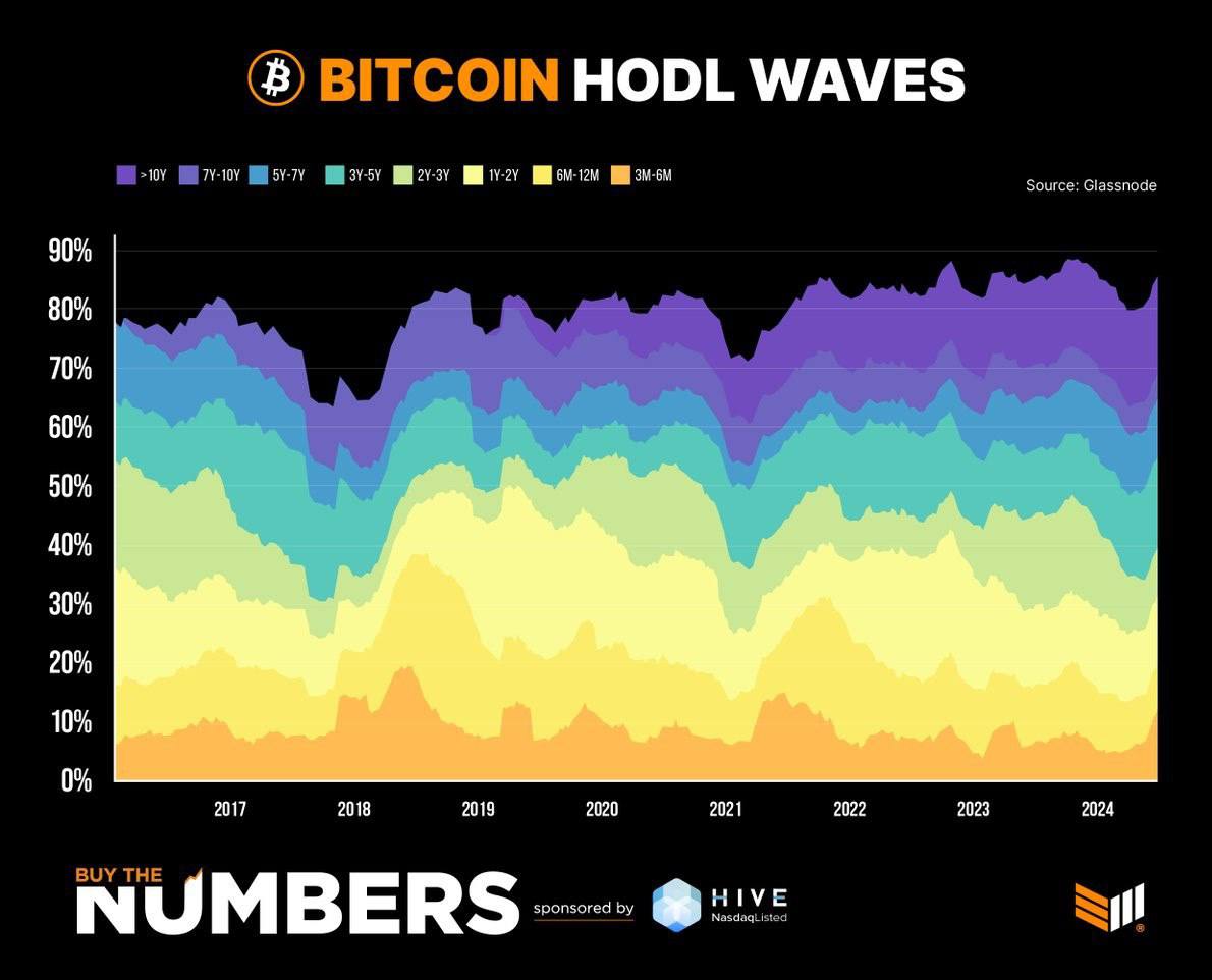 bitcoin-hold-wales