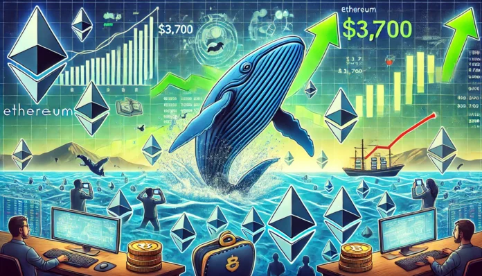 whale-activities-propel-ethereum-towards-3700-key-indicators-of-upcoming-bull-run