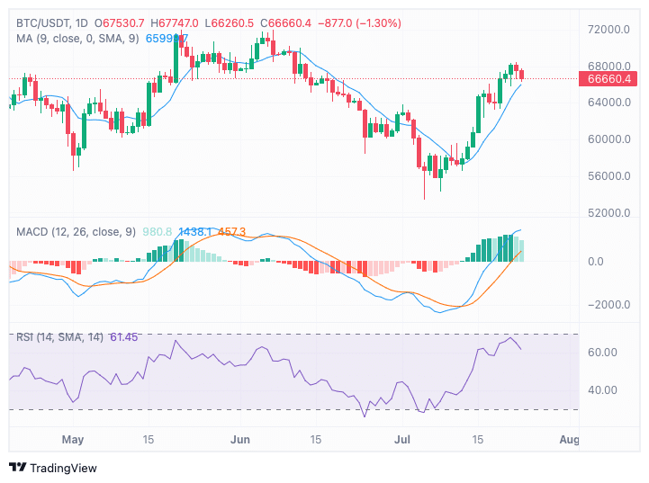 BTC-1day-tradingview