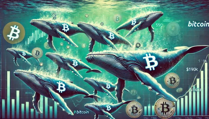 bitcoin-whales-on-a-buying-spree-is-a-190k-price-tag-in-sight