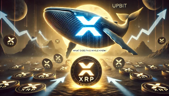 what-does-this-whale-know-20-million-xrp-moved-from-upbit-in-secret-transfer