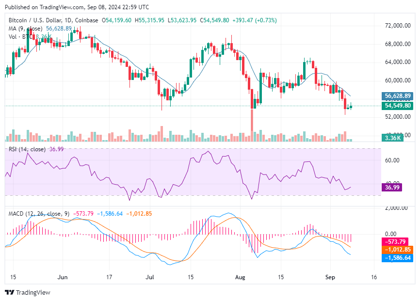 BTCUSD_2024-09-08_18-59-06