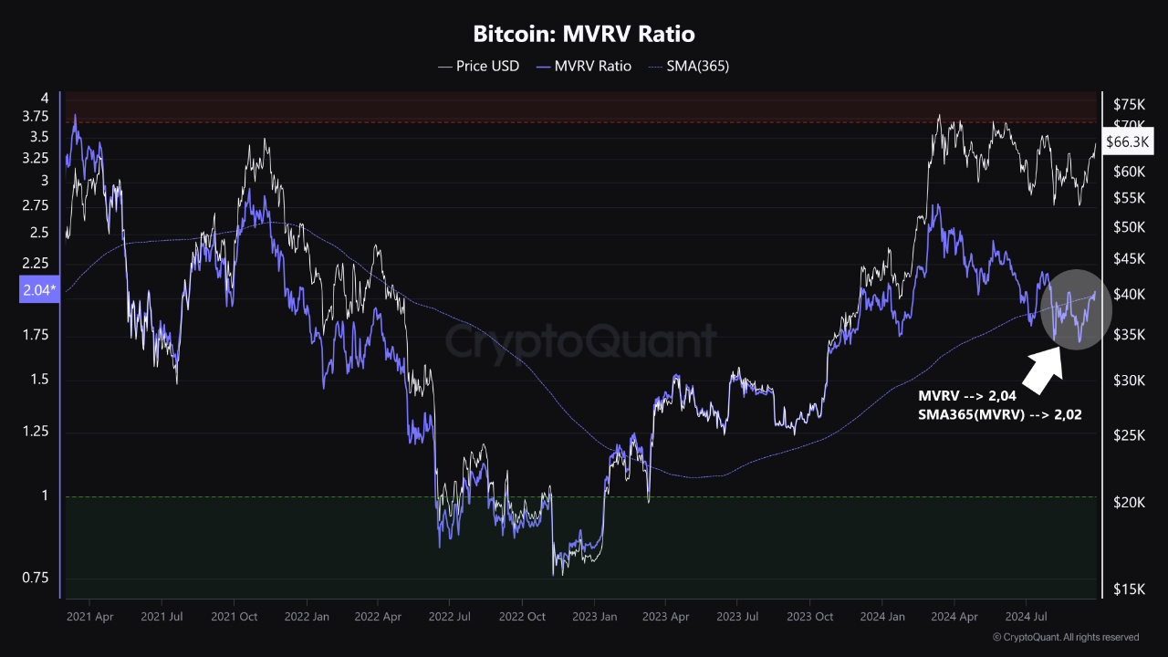 cryptoquant-btc-chart