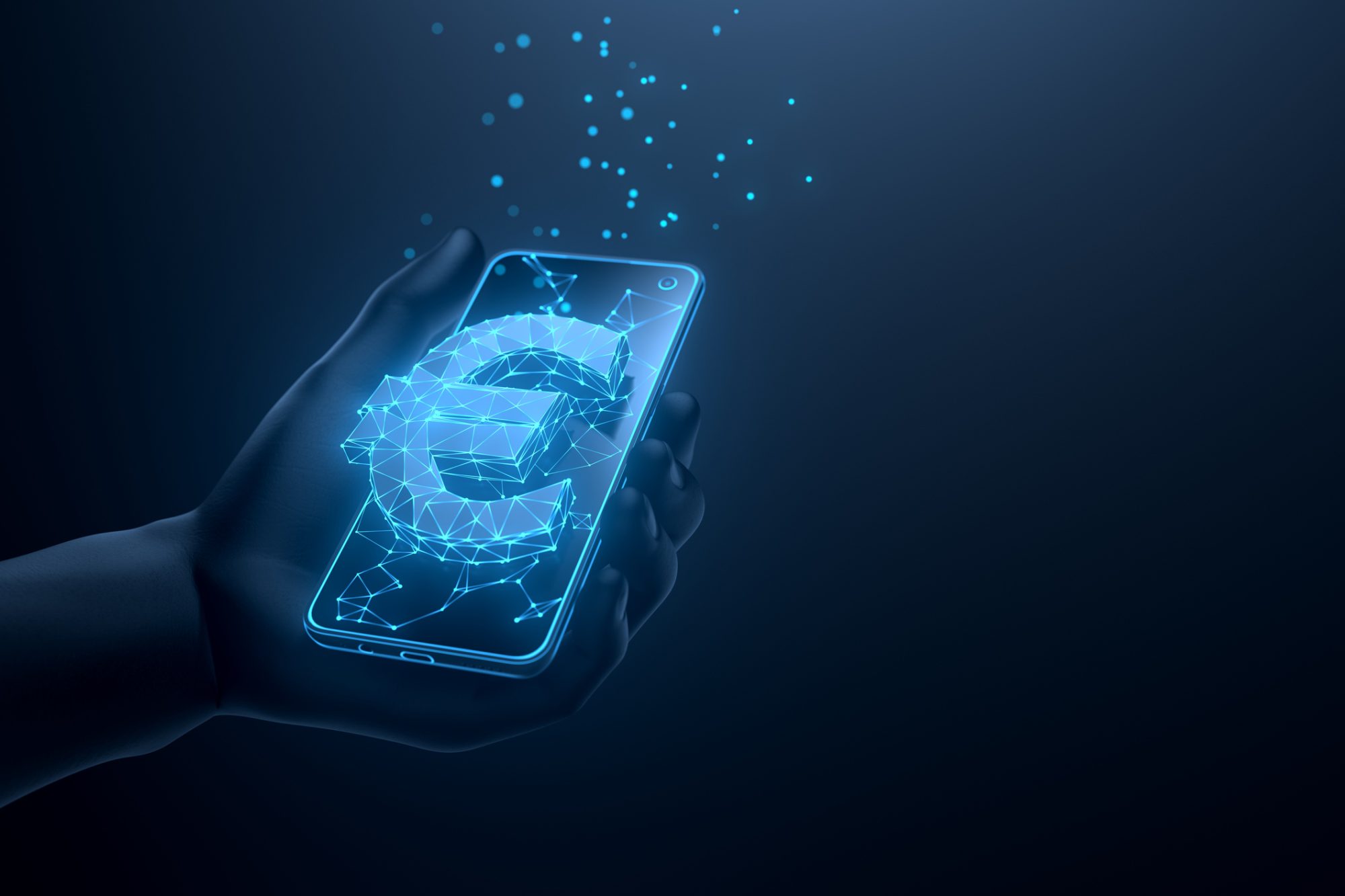 Digital euro