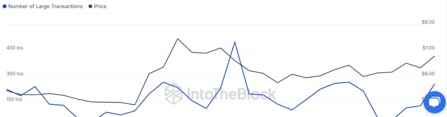 uni-whale-transactions